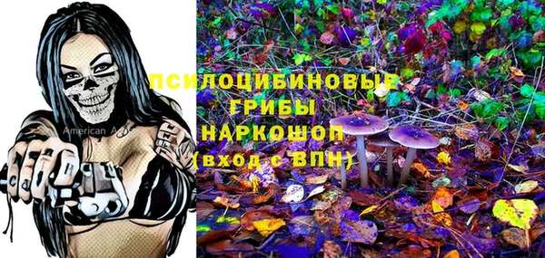индика Нязепетровск
