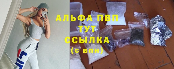индика Нязепетровск