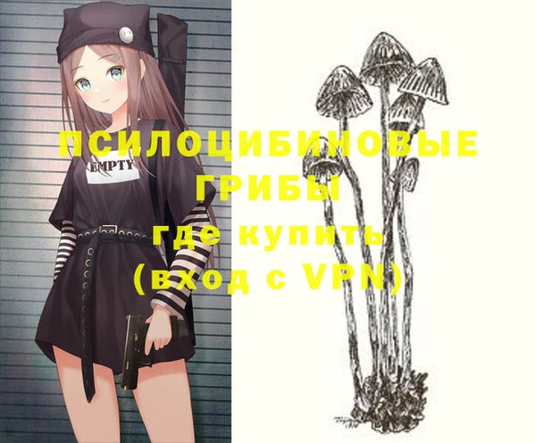 гидропоника Няндома