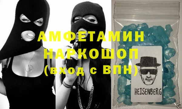 хмурый Тайга