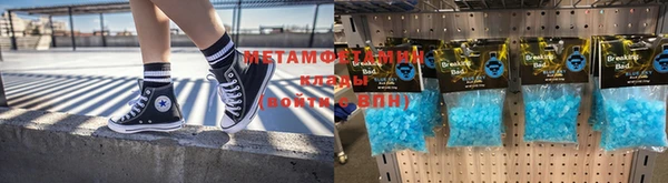 хмурый Тайга