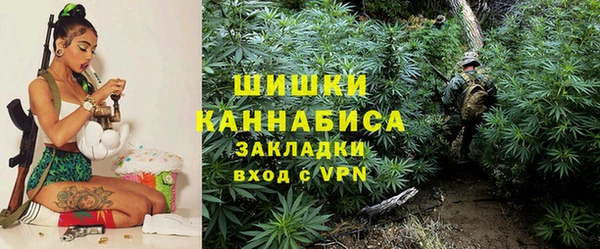 гидропоника Няндома