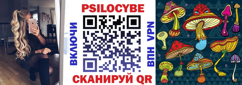 Галлюциногенные грибы Psilocybe  Колпашево 