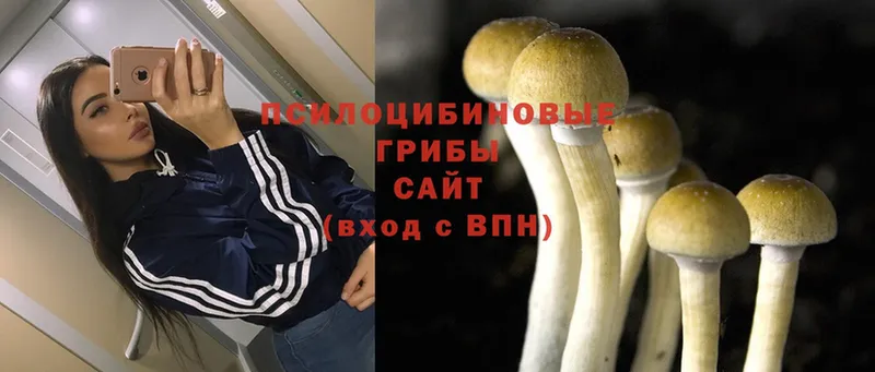 Галлюциногенные грибы Magic Shrooms  Колпашево 